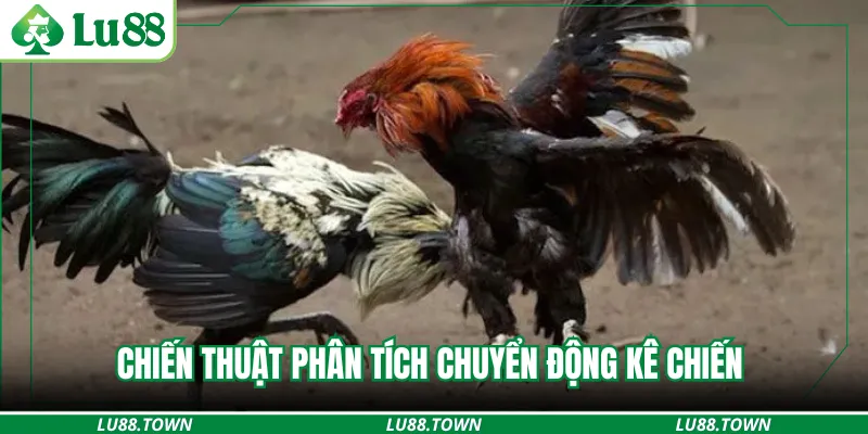 Chiến thuật phân tích chuyển động kê chiến