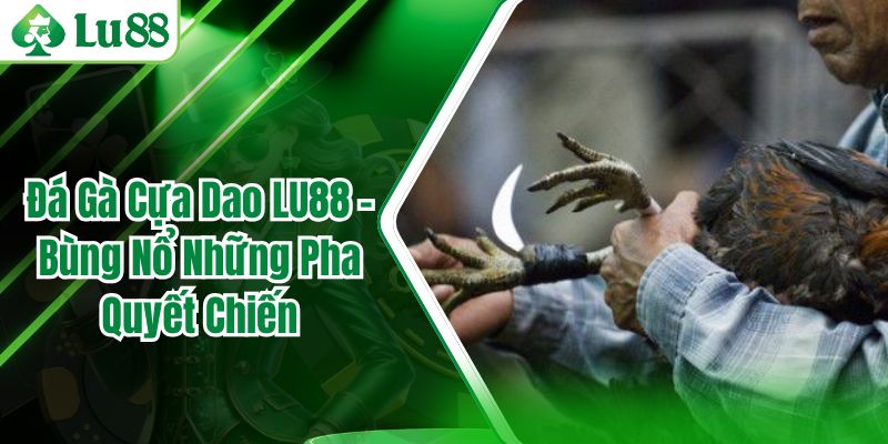 Đá Gà Cựa Dao LU88 – Bùng Nổ Những Pha Quyết Chiến