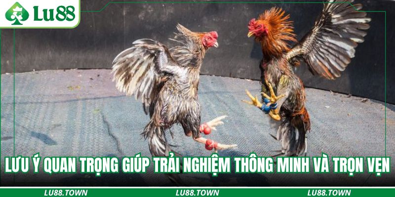 Lưu ý quan trọng giúp trải nghiệm thông minh và trọn vẹn