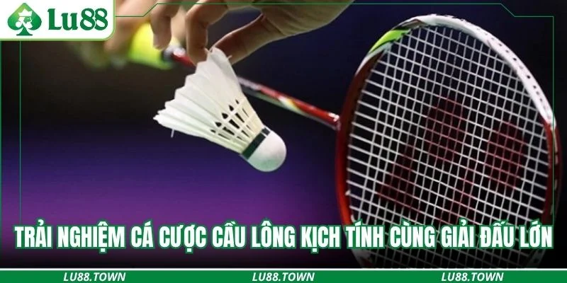 Trải nghiệm cá cược cầu lông kịch tính cùng giải đấu lớn